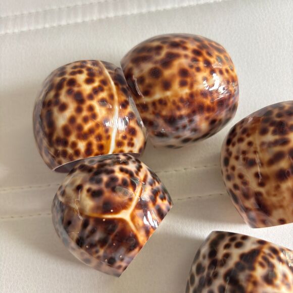 Set Of 6 Natural Tiger Cowrie Shell Napkin Rings Holders Handmade Philippines - Picture 2 of 3